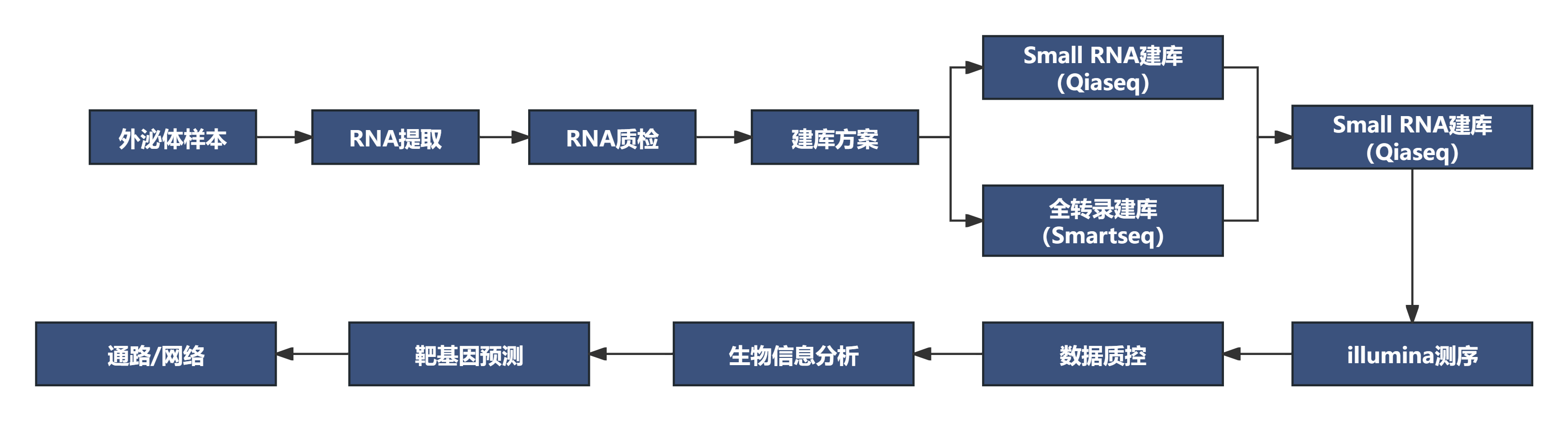 技术原理与路线图